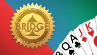 Play Bridge now!