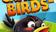 Play Crazy Birds Kart Hidden Stars now!