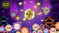 Play 2048 Drop now!
