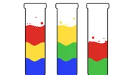 Play Water Sorting Puzzle now!